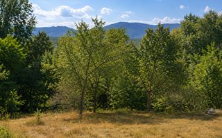 TEREN INTRAVILAN 1100 MP ÎN SĂCEL | ZONĂ PENTRU CASĂ + ACCES LA RÂU - Poză 7