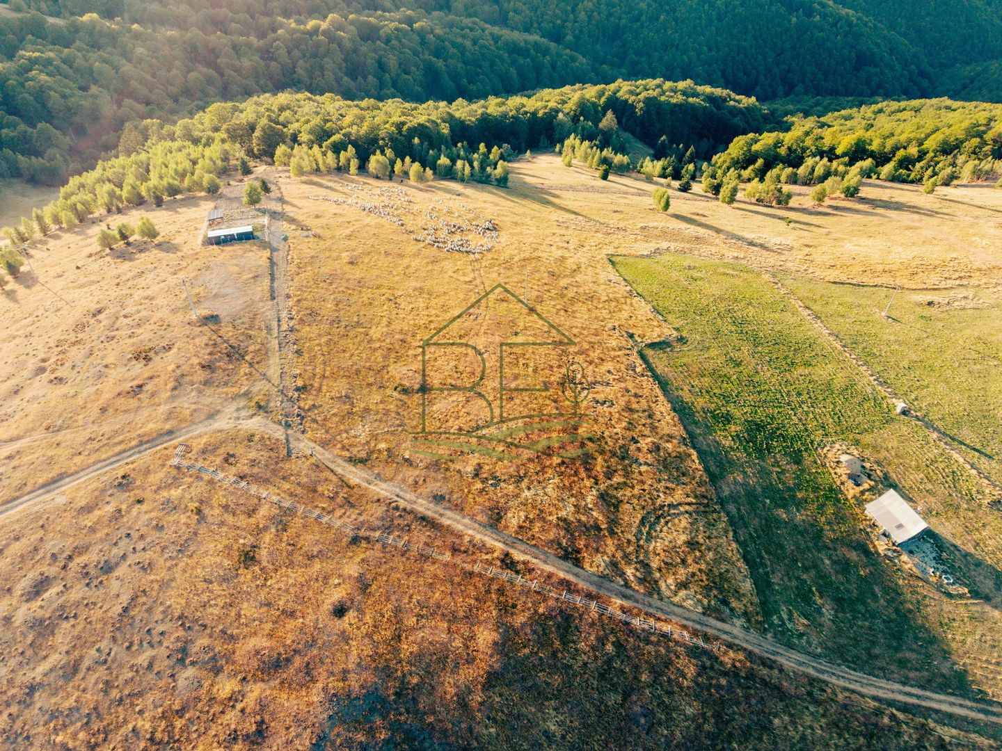 Păltiniș - Teren cu perspectivă panoramică pentru un refugiu în natură - Poză 3