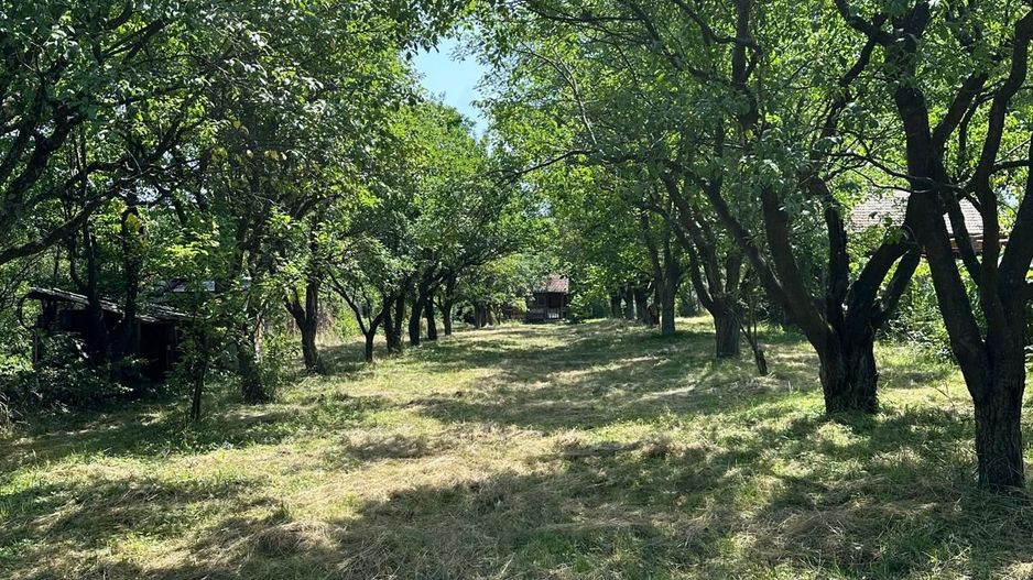 Teren 2000 mp, cu utilitati, pozitionare deosebita, Tocile - Poză 5