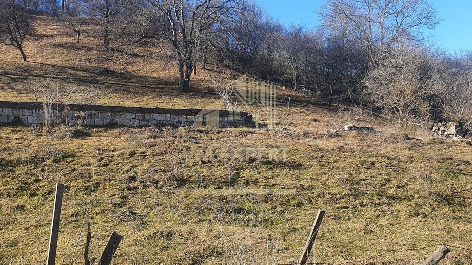 TEREN INTRAVILAN 4614 MP, CAMPULUNG - VALEA ROMANESTILOR - Poză 1