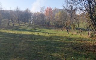 TEREN INTRAVILAN 3000 MP, CAMPULUNG - Poză 1