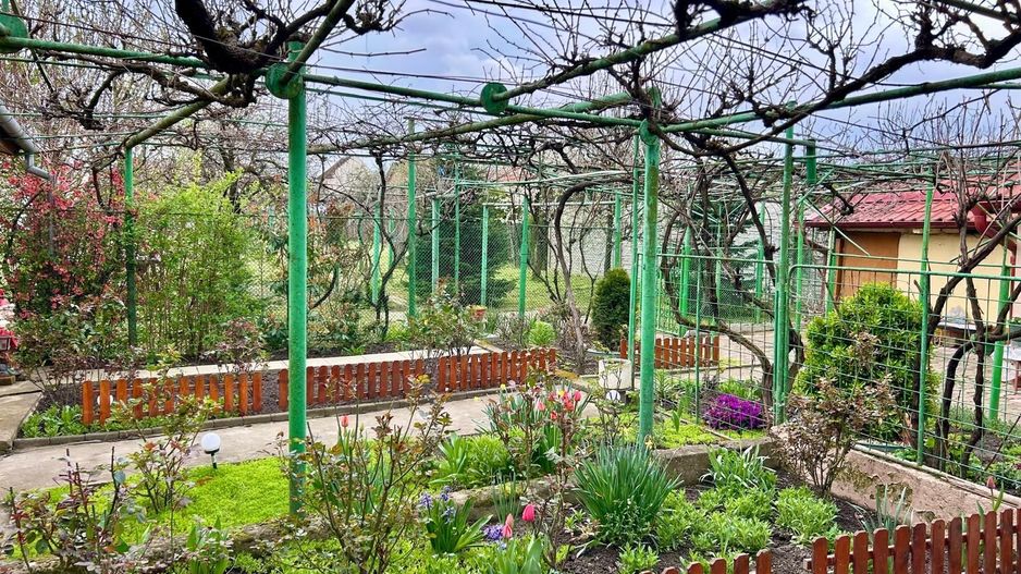 TEREN GENEROS 1000 MP - Poză 8