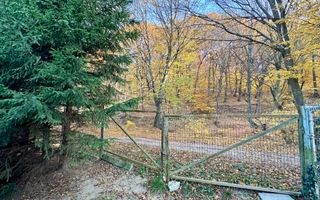 Vilă individuală de vânzare în Râșnov, Zona Primăverii | Natură și Confort - Poză 8