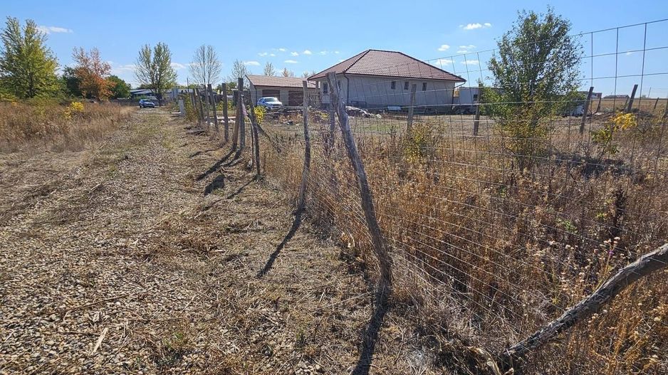 Teren Intravilan Paleu 1025 mp - Poză 2
