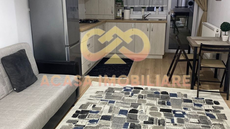 NOU  APARTAMENT 2 C OPEN SPACE BUCIUM VISAN - Poză 19