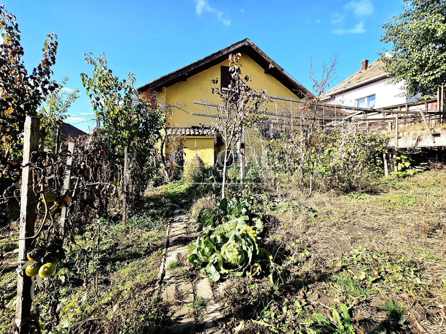 Casa individuala | 3 Camere | Teren 477 mp | Cartier Dambul Rotund! - Poză 1