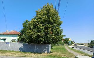 Casa de vinzare in comuna Bals (Iasi) - Poză 8