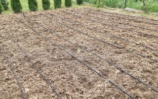 Casă P+M cu 1.558 mp teren, livadă și garaj | Barza, Gorj Comision 0%  - Poză 21
