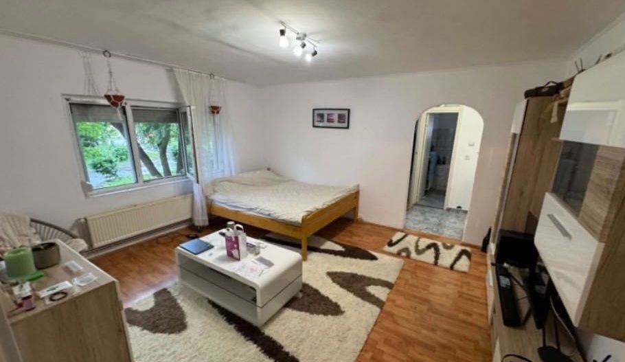 BRASADAS vinde ap 2 cam la PARTER in Micro 16. - Poză 4