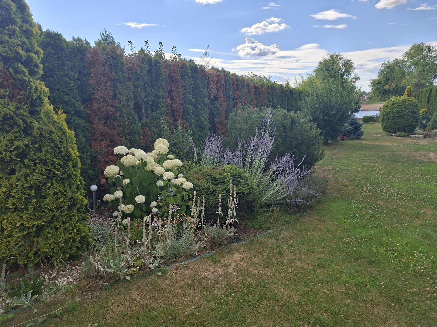 BRASADAS vinde casa cu iesire la lac - Poză 13