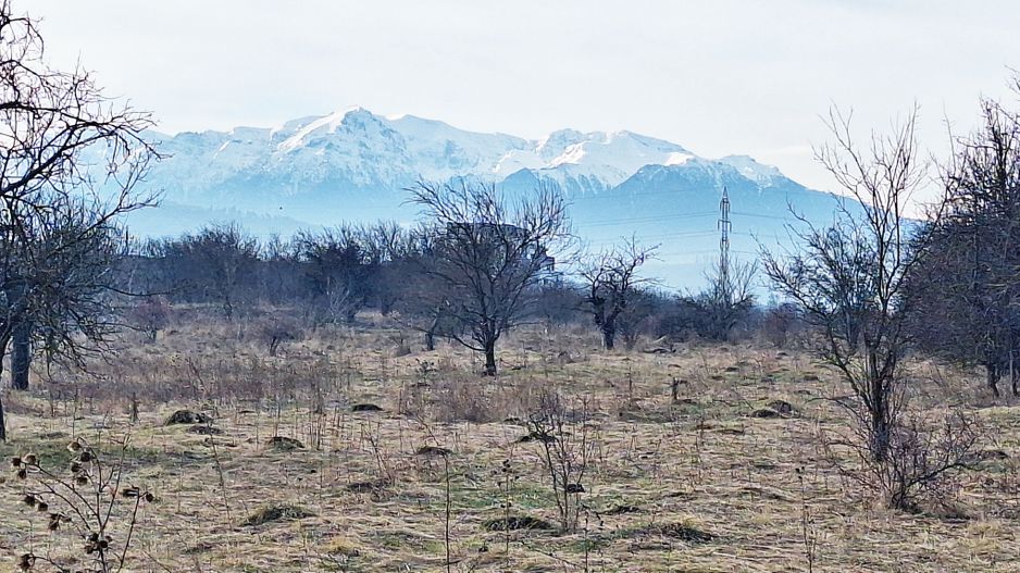Teren intravilan pentru Investitie!!!,933mp in Ghimbav, 50 euro/mp neg. - Poză 2