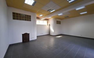 Spațiu comercial / birouri / producție ușoară de închiriat – Zona Turnișor - Poză 8