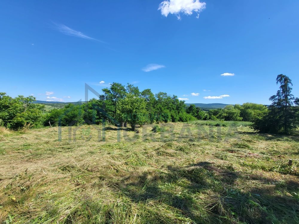 Teren de vânzare, Ciurea – 771 mp, intravilan, utilități - Poză 7