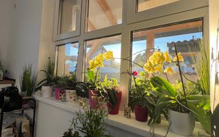 Apartament cu curte individuală | Cisnădie | Mall - Poză 13