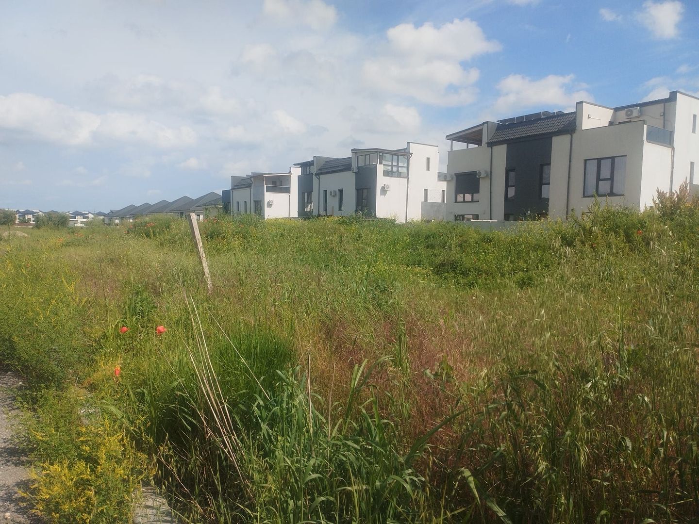 Teren 4.550 mp intravilan – Otopeni, oportunitate investiție - Poză 3