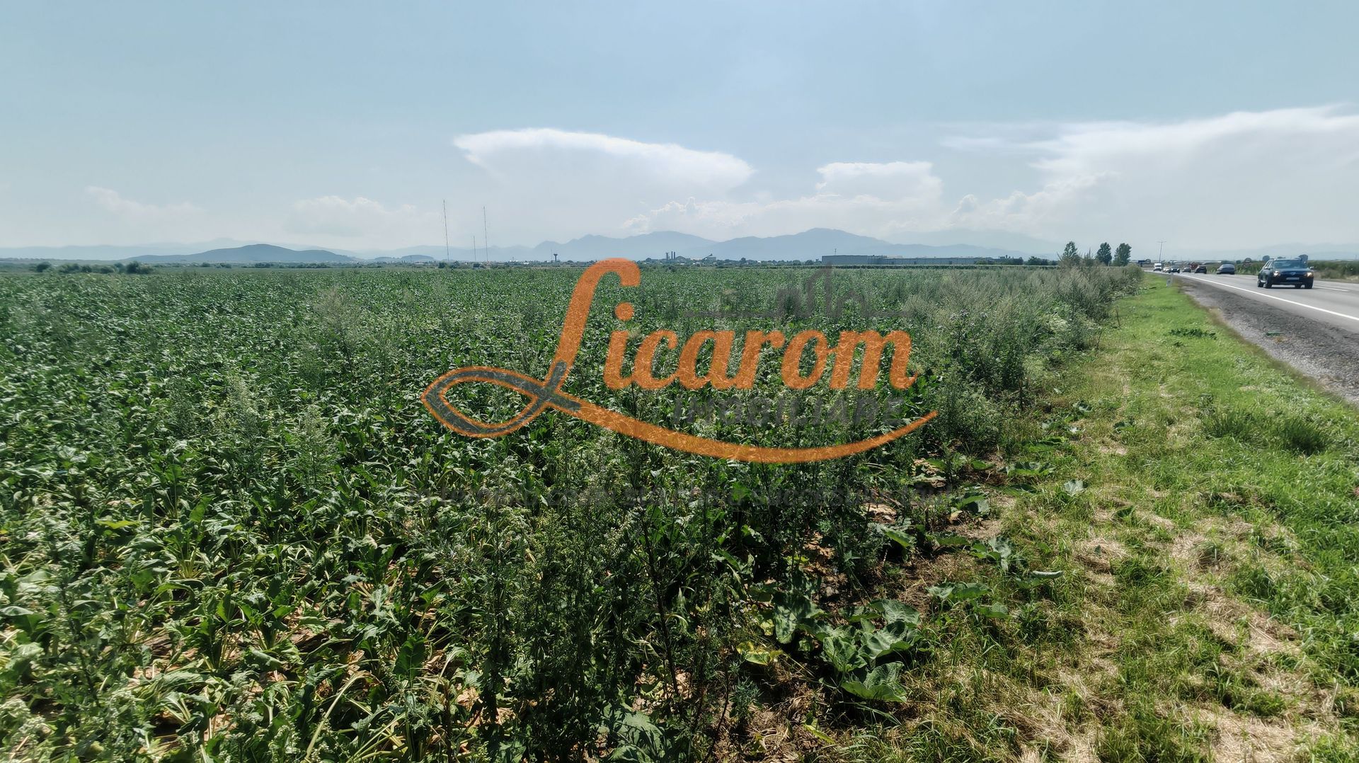 Teren intravilan 3,85 ha,Brasov DN 13 langa MILLE, OLYMPUS, ARKADA - Poză 4