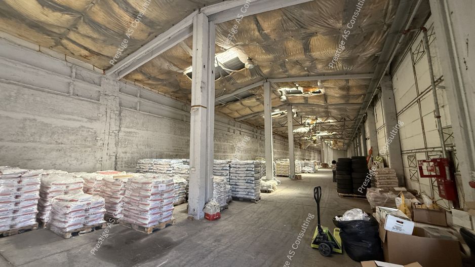 Hala depozitare 1.250 mp | Acces TIR | Zona logistica Giarmata - Poză 2
