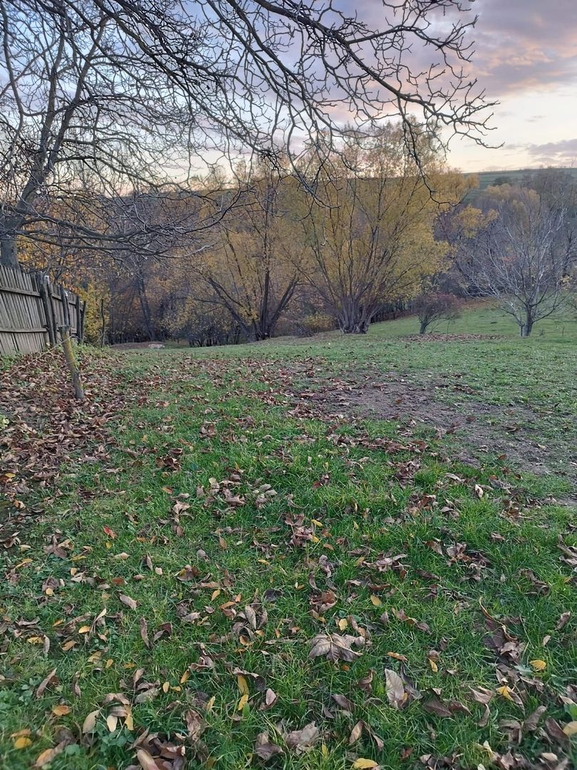 Teren intravilan | Mănăstioara – Siret | 2.200 mp - Poză 7