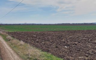 Teren 5,000mp Moara Vlasiei / Strada Morii - Poză 1