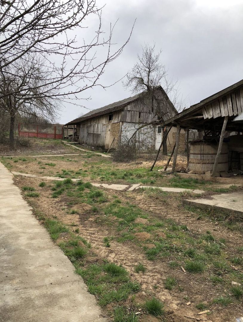 Casa cu teren 27 arii Pir - Poză 4