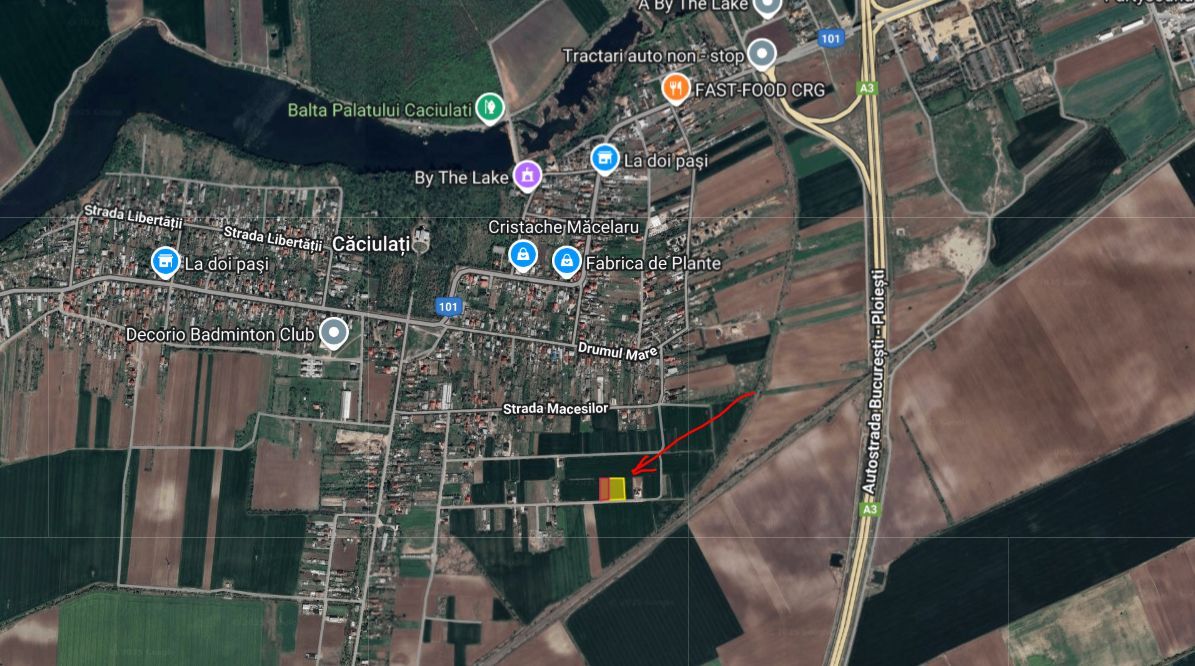 Teren intravilan 1000+2000mp Caciulati Ilfov - Poză 2