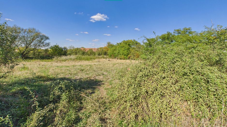 Teren intravilan 6115mp pentru investiții Firiteaz - Poză 7