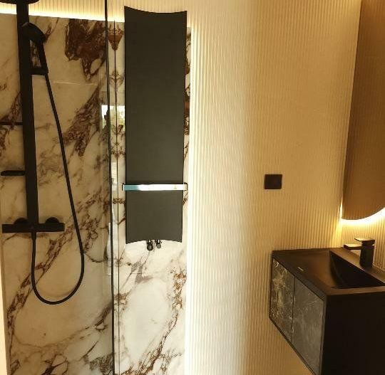 Apartament tip Loft cu finisaje industriale si gradina - Poză 8