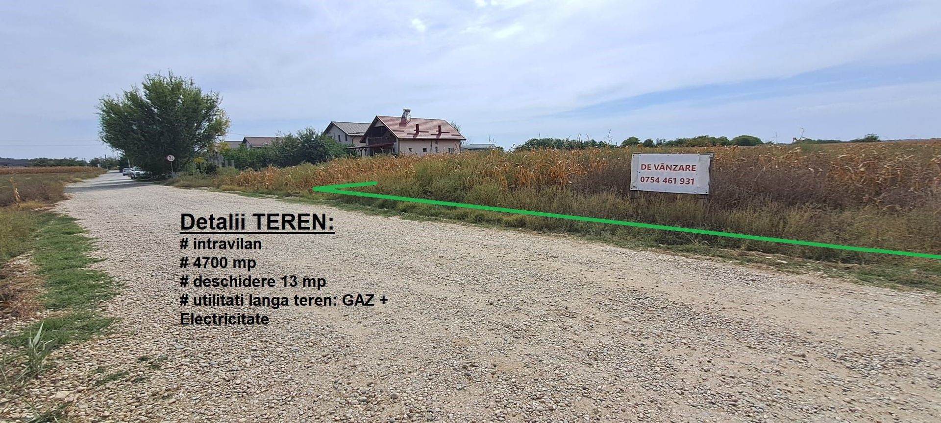 Palanca - Floresti - Stoenesti, Jud. Giurgiu, teren 4700 mp, utilitati - Poză 4