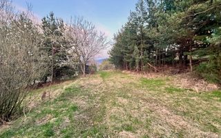 Teren Intravilan 495 mp – Zonă Liniștită - Strada Livezii - Poză 7