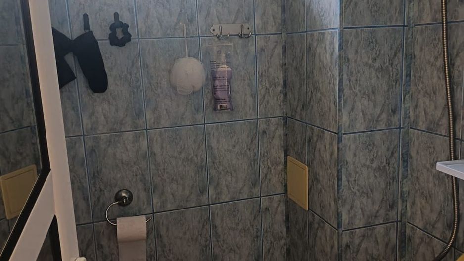 De vanzare apartament 3 camere – Micro 40 – Parter cu gradina - Poză 6