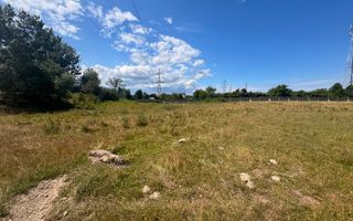 Teren Itcani | 31 Ari | Extravilan | Deschidere 11.5 MP | 93000 Euro - Poză 3