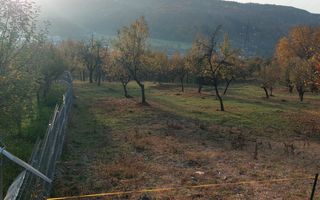 TEREN INTRAVILAN 10385 MP, MARCUS, CAMPULUNG - Poză 5