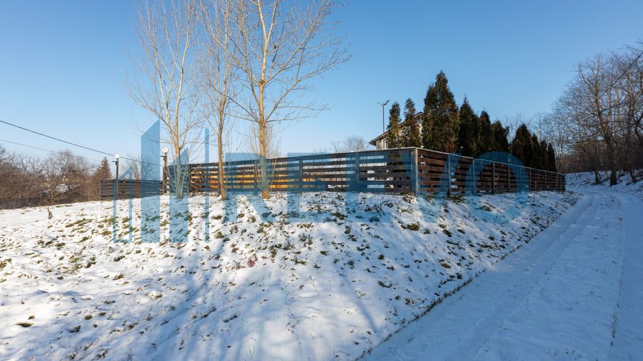 Proprietate cu casa si spatiu comercial+teren 4060 mp Bahna - Poză 44