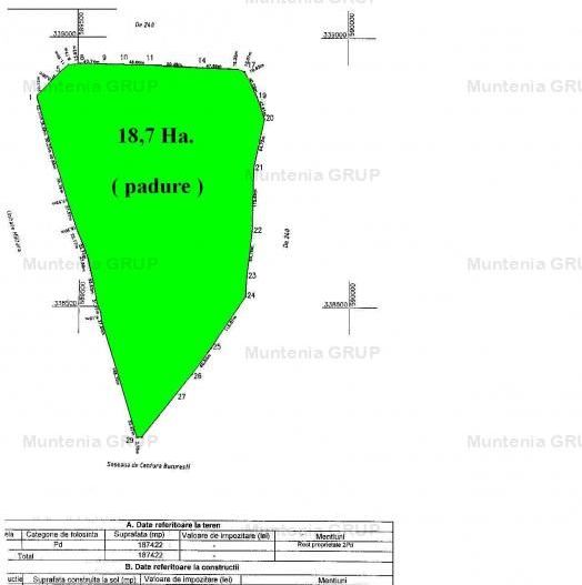 TUNARI - Centura Bucuresti, 16,7 Ha. teren (padure de peste 100 ani) - Poză 5