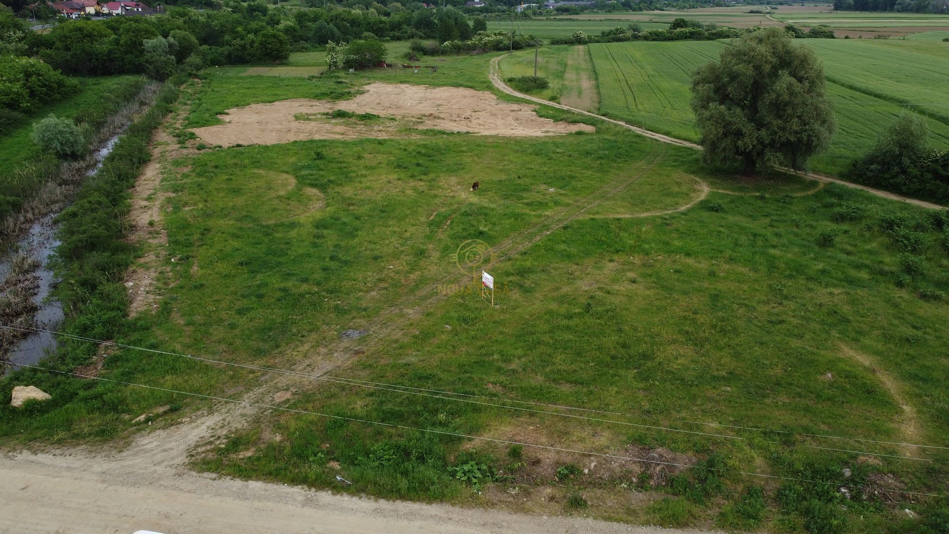 Teren 14500 MP in Sabisa langa Soseaua Principala - Poză 4