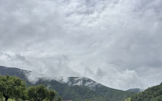 Teren Intravilan | 1053MP | Râu Sadului - Poză 6