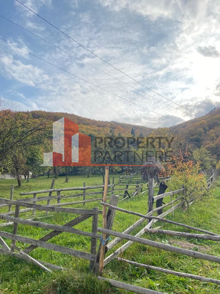 Casa + teren 1700 mp langa Padure Bran/ Predelut - Poză 14