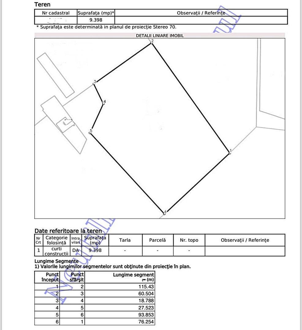 Teren intravilan de vanzare cu o suprafata de 9398 mp in Paleu,Bihor - Poză 1