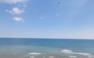 Refugiul tău la malul mării, în Golful Francezului, teren 908.28 mp - Poză 3