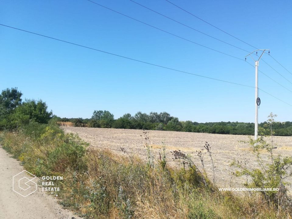 Teren intravilan, pentru constructii hale industriale, zona Pecica - Poză 2