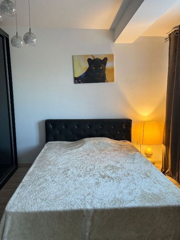 Sau/închiriez casa P+1E capătul Comunei Berceni Mănăstirea Sf. Treime - Poză 5