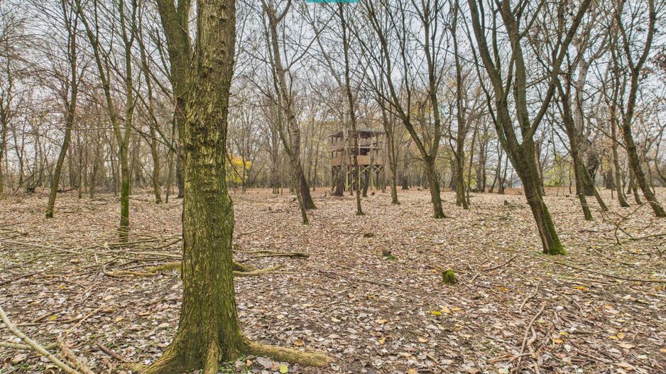 Teren pe malul Muresului- oportunitati multiple - Poză 30