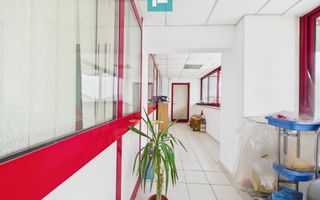 Hală de producție, cu birouri și teren, în Sebiș - Poză 38