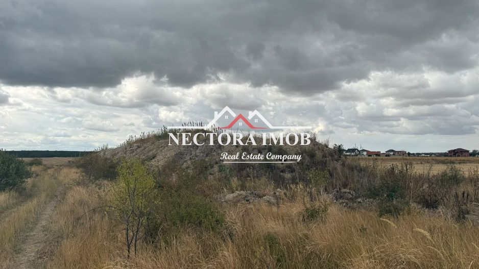 NECTORA IMOB-Teren Intravilan 667 mp, Beverly Hills-Padure Baile Felix - Poză 6