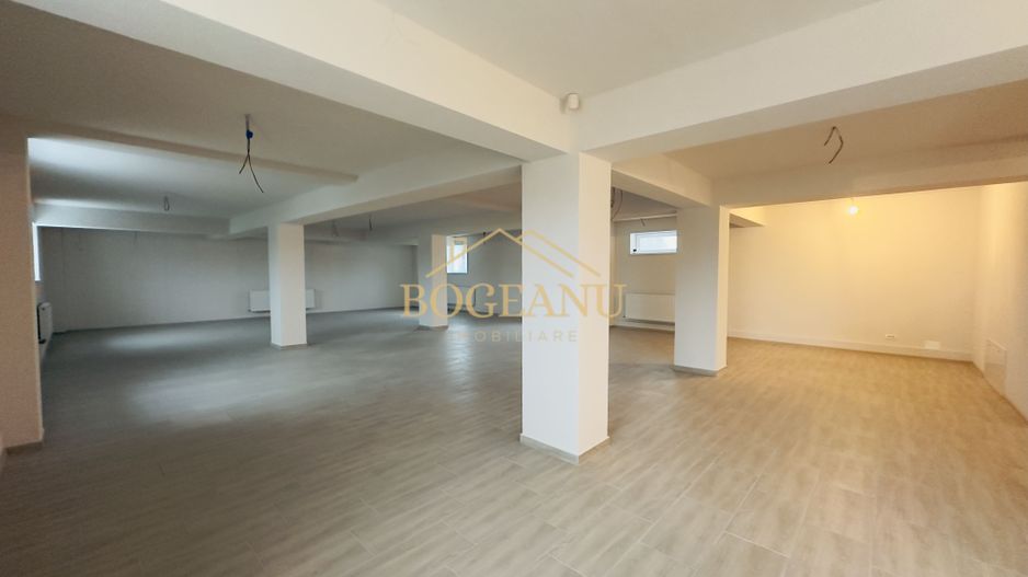 BG67-Spatiu birouri/comercial/SAD-Giroc - Poză 4