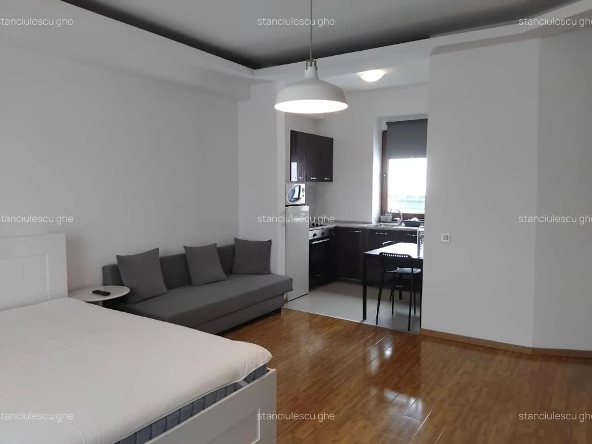 Garsonieră spațioasă de închiriat | Herăstrău - Poză 3