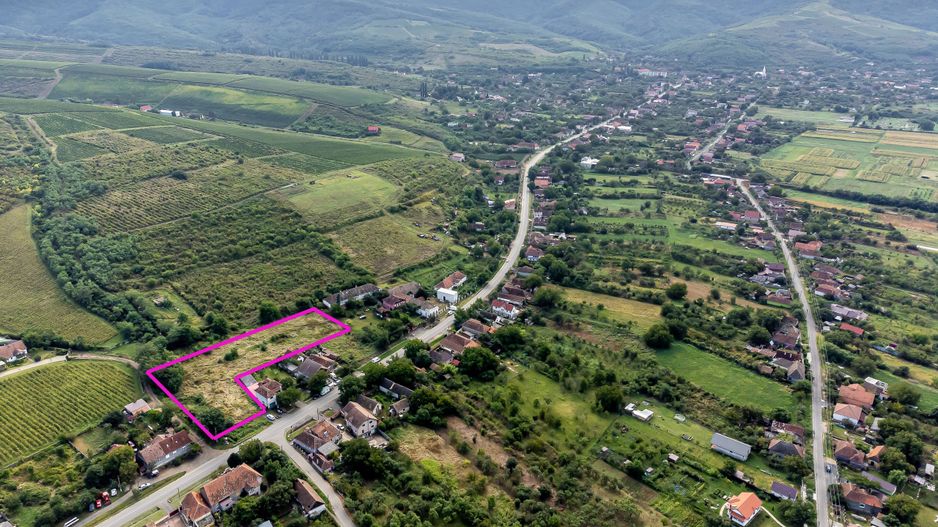 Teren de vis în Ghioroc! Stațiunea supranumită ”Litoralul Vestului” - Poză 5