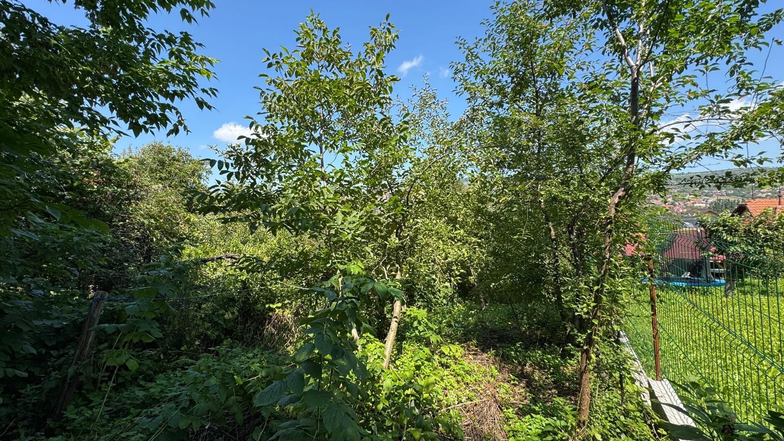 Teren cu casa demolabila - 547MP - Gruia - Poză 1