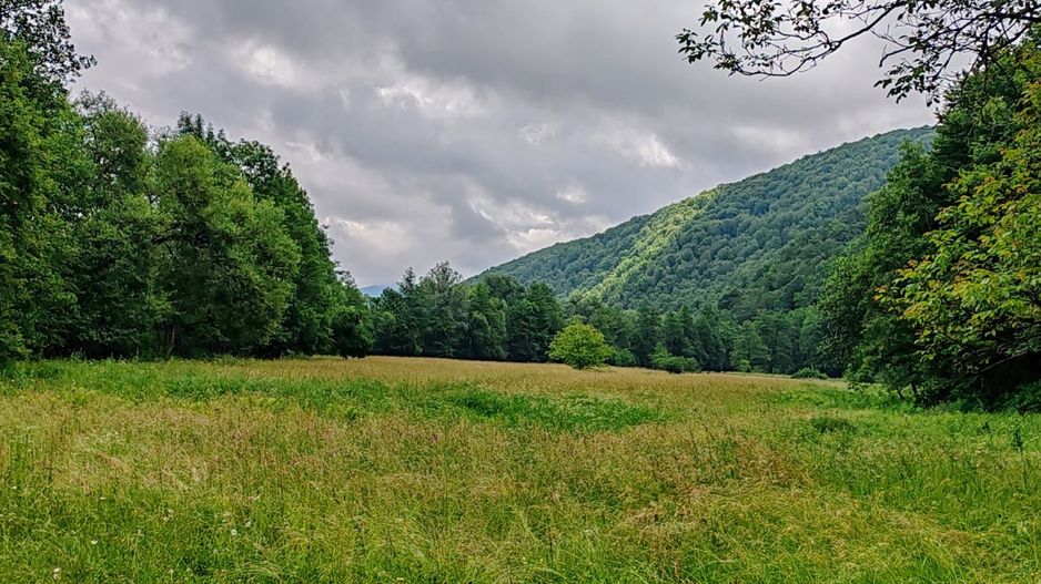 2,8 Ha Teren Extravilan cu Pârâu - Negreni, Cluj - Poză 10