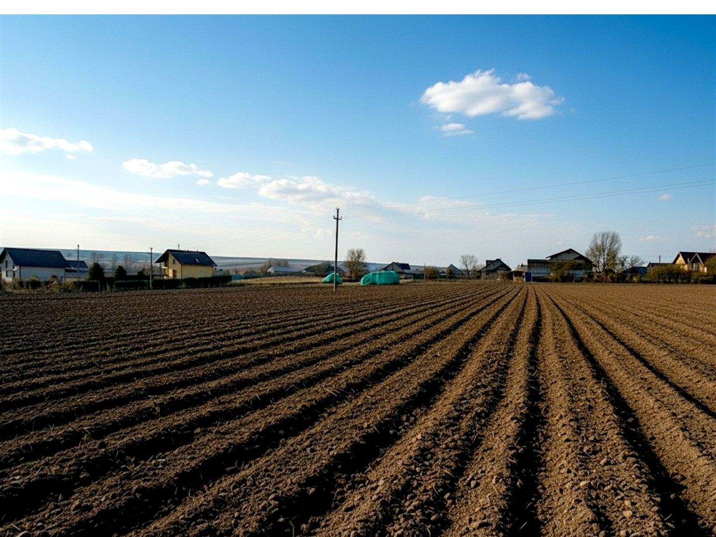 Teren 991 MP | Moara Carp | 22 ml Deschidere | Utilități | 38.000 € - Poză 3